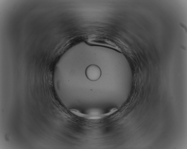X0000091550421200709071221