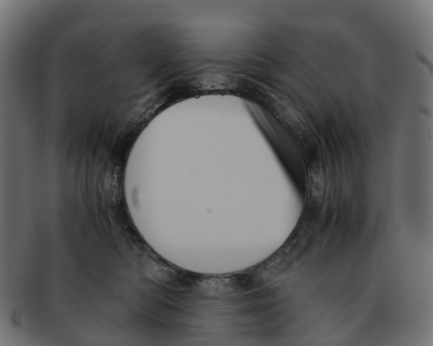X0000091550422200709071221