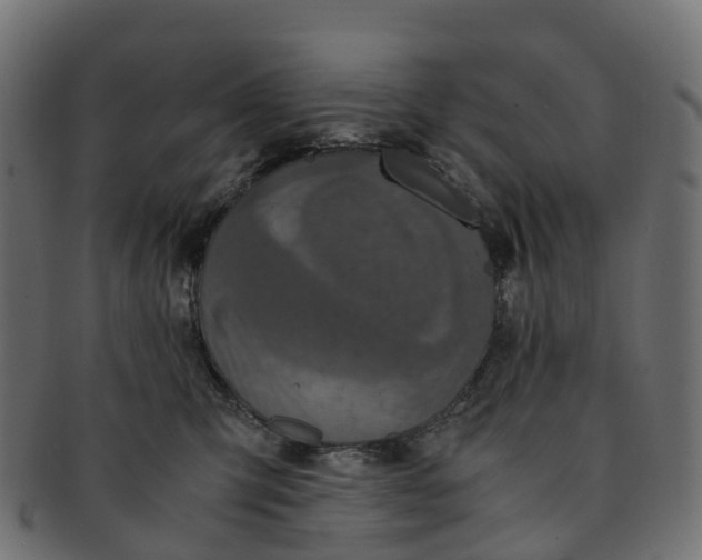 X0000091550423200709071221