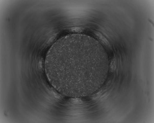 X0000091550424200709071221