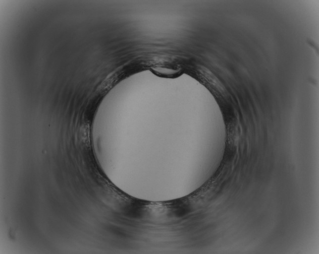 X0000091550425200709071221