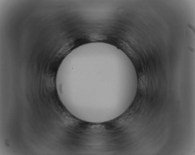 X0000091550426200709071221