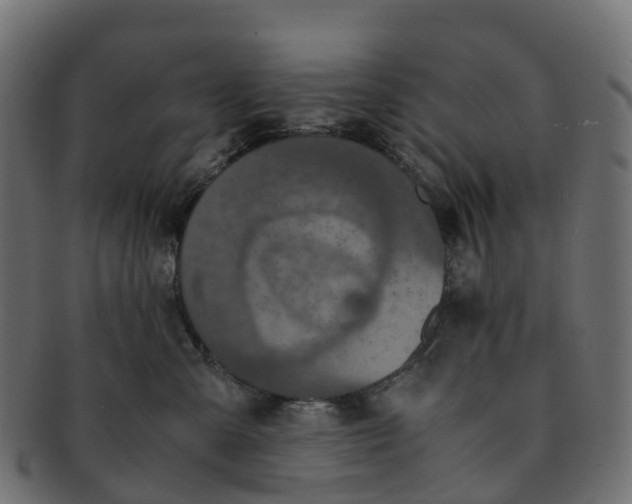 X0000091550427200709071221