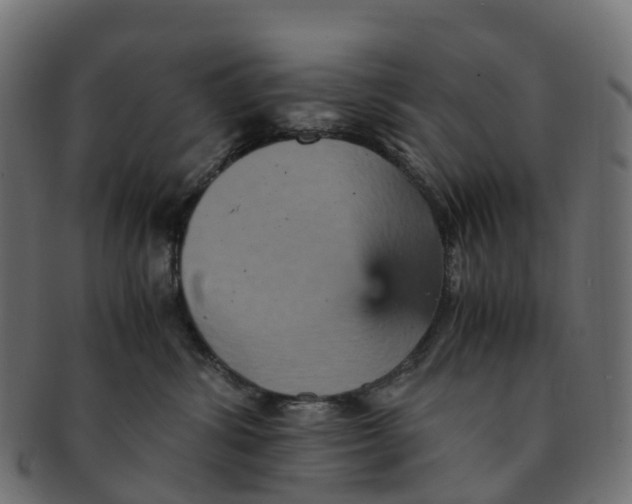 X0000091550428200709071221