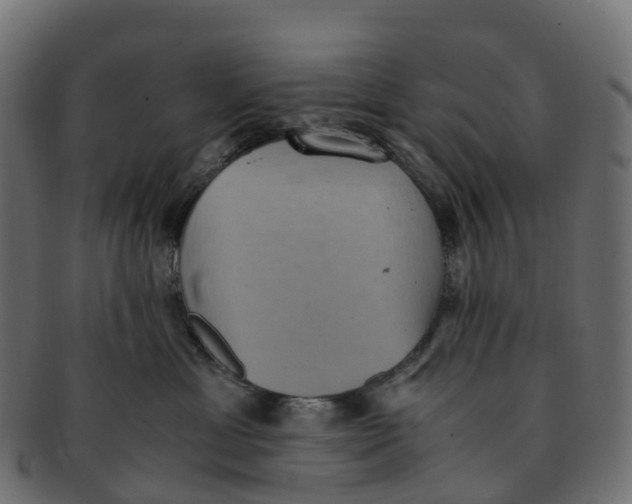 X0000091550429200709071221