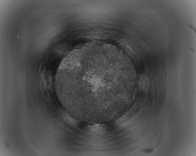 X0000091550430200709071221