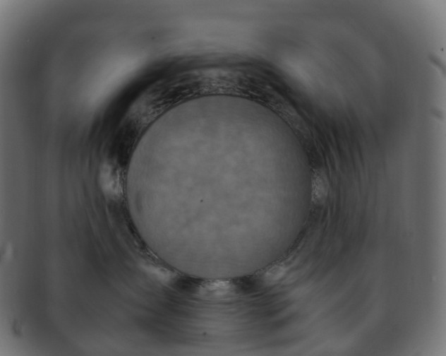 X0000091550431200709071221