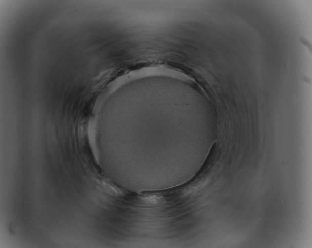 X0000091550432200709071221