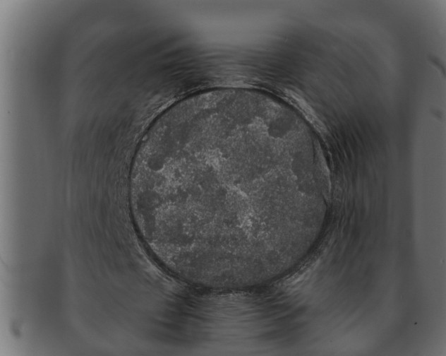 X0000091550433200709071220