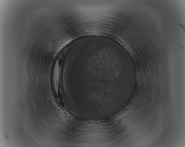 X0000091550434200709071220