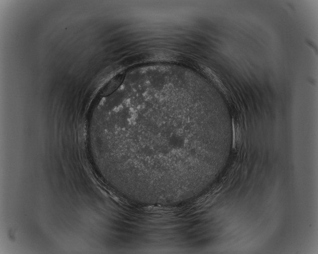 X0000091550435200709071220