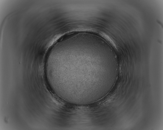 X0000091550436200709071220