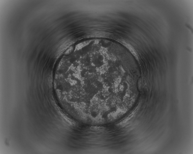 X0000091550437200709071220