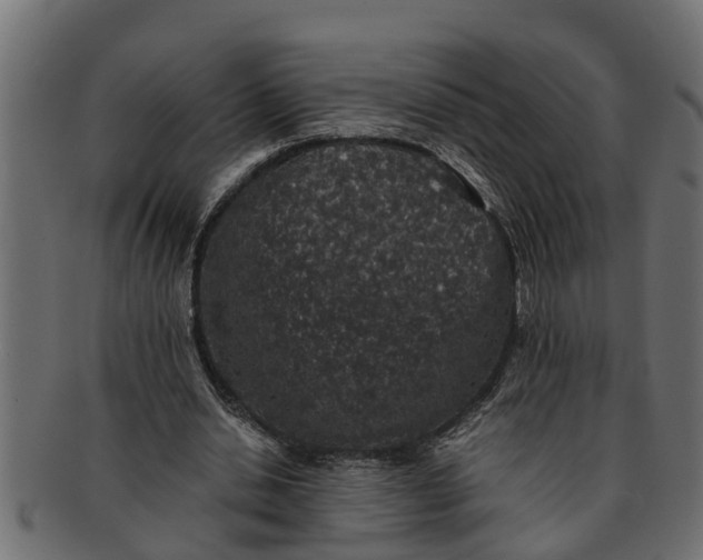 X0000091550438200709071220