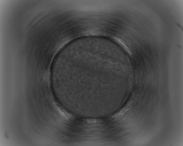 X0000091550439200709071220