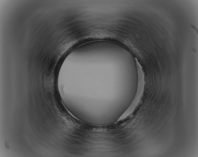 X0000091550440200709071220