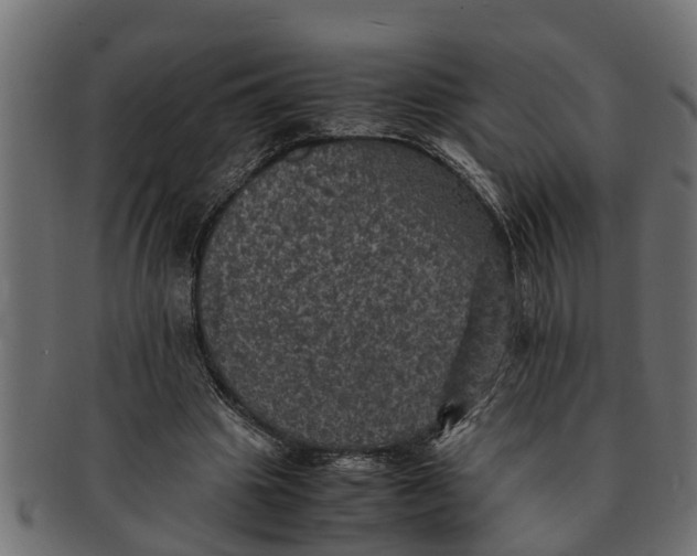 X0000091550441200709071220