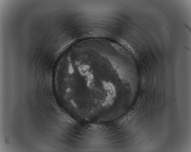 X0000091550442200709071220