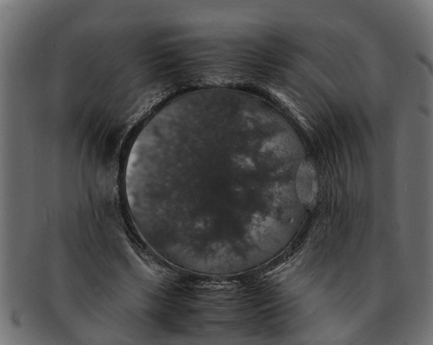 X0000091550443200709071220