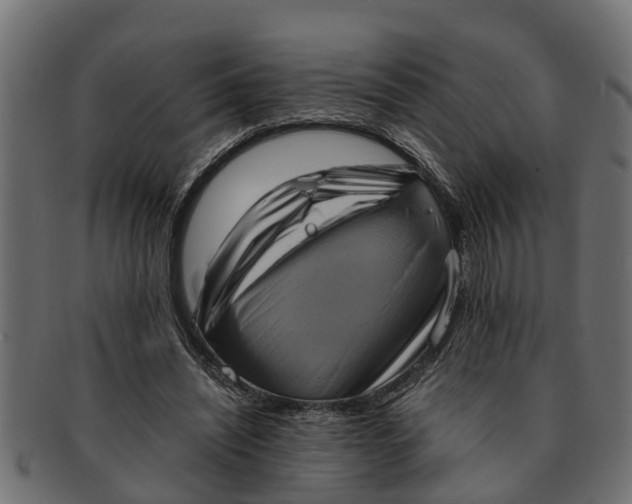 X0000091550444200709071220