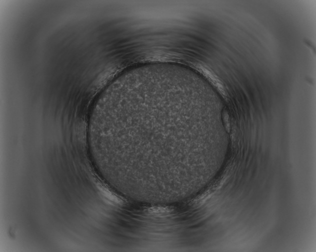 X0000091550445200709071220