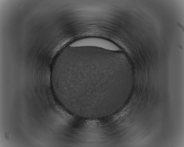 X0000091550446200709071220