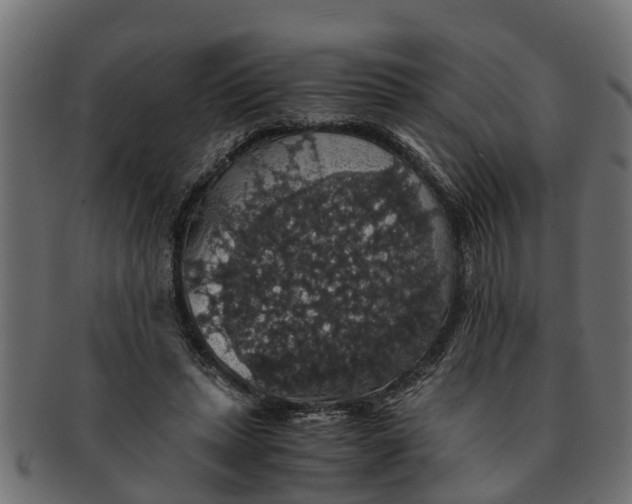 X0000091550447200709071220