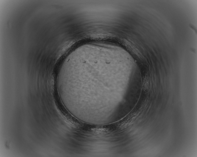 X0000091550448200709071220
