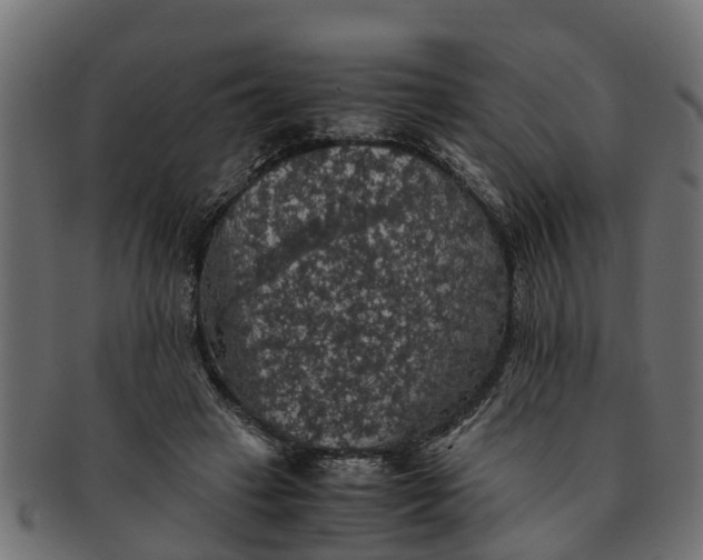 X0000091550449200709071221
