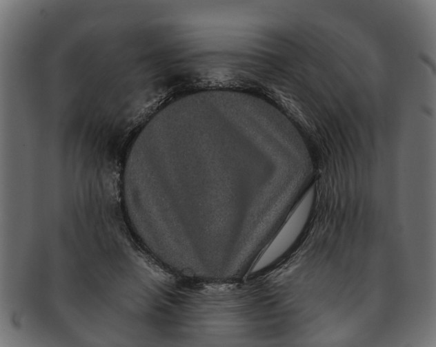 X0000091550450200709071221