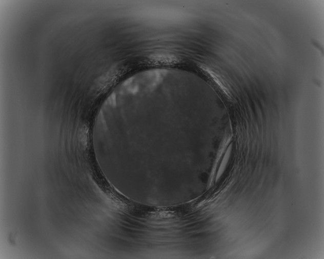 X0000091550451200709071221