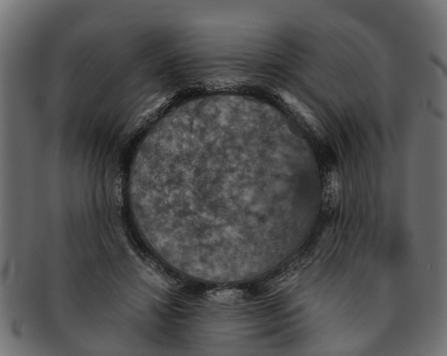 X0000091550452200709071221