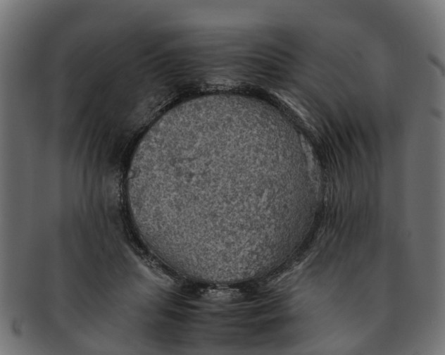 X0000091550455200709071221