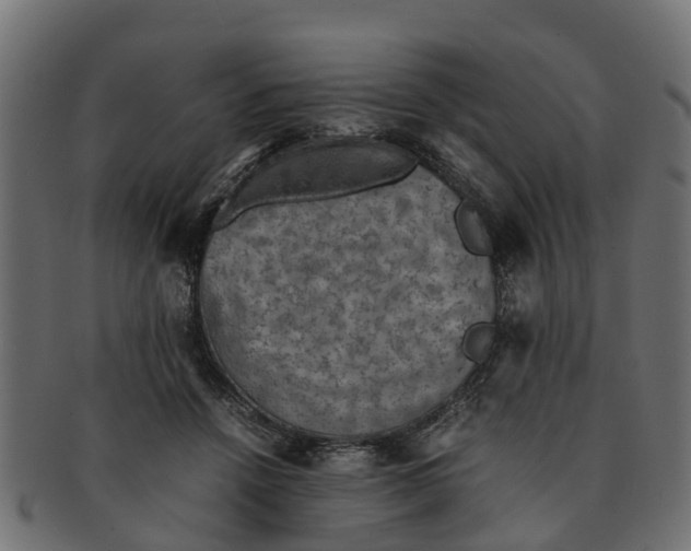 X0000091550456200709071221