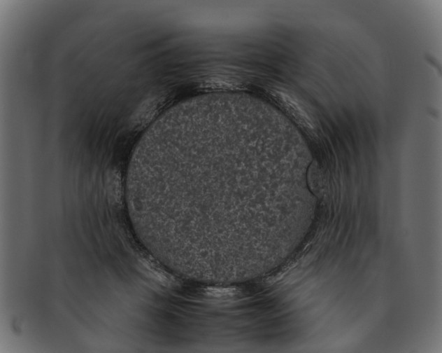 X0000091550457200709071221