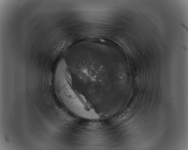 X0000091550458200709071221