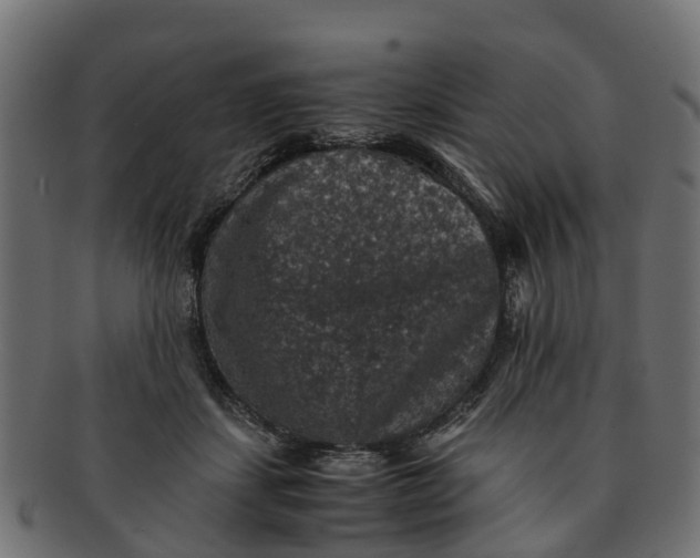 X0000091550459200709071221
