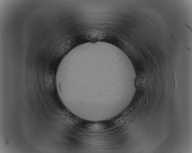 X0000091550460200709071221