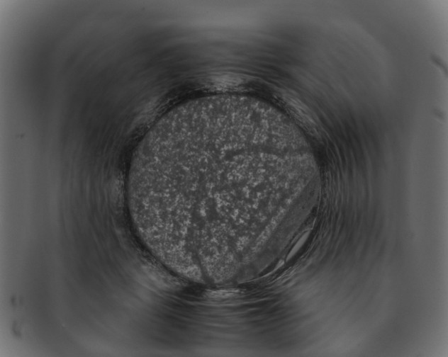 X0000091550461200709071221