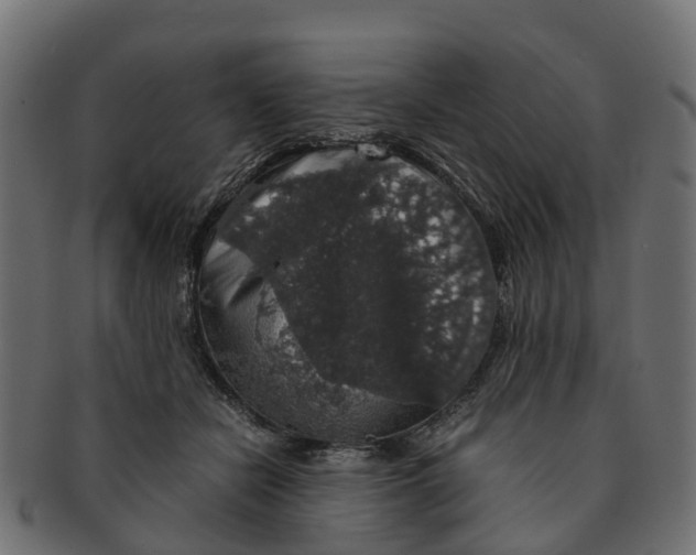 X0000091550462200709071221