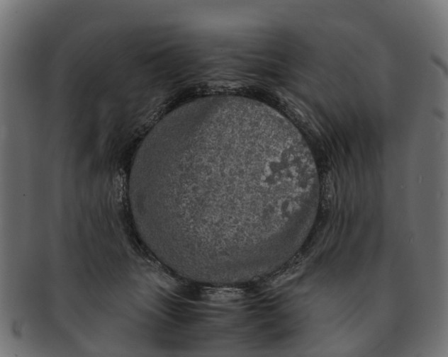 X0000091550463200709071221