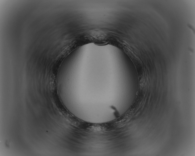 X0000091550464200709071221