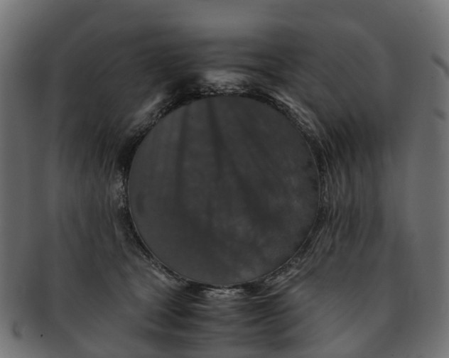 X0000091550465200709071221