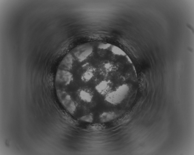X0000091550466200709071221