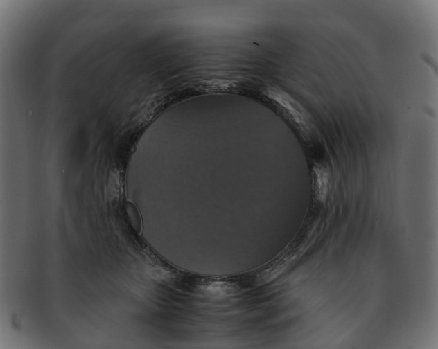 X0000091550467200709071221