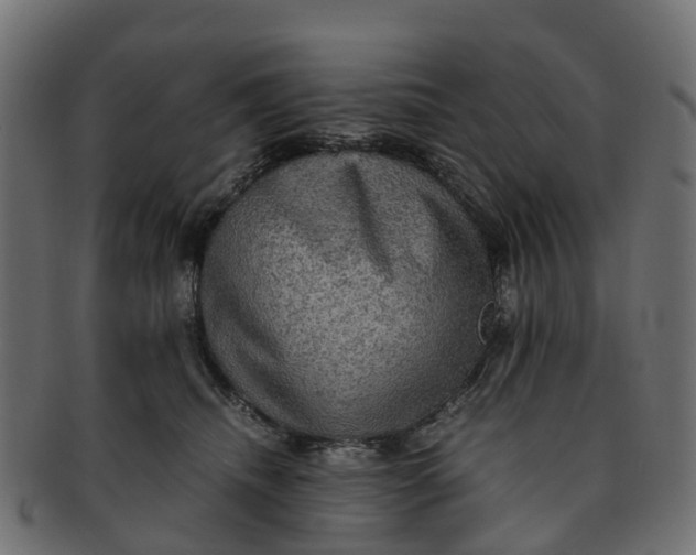 X0000091550468200709071221