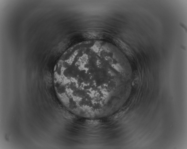 X0000091550469200709071221