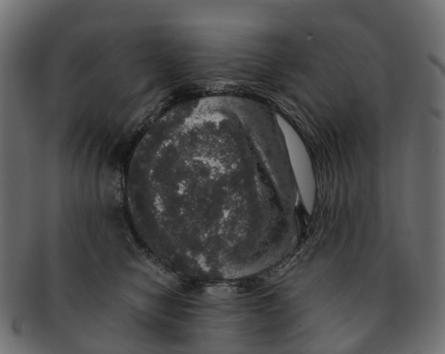 X0000091550470200709071221