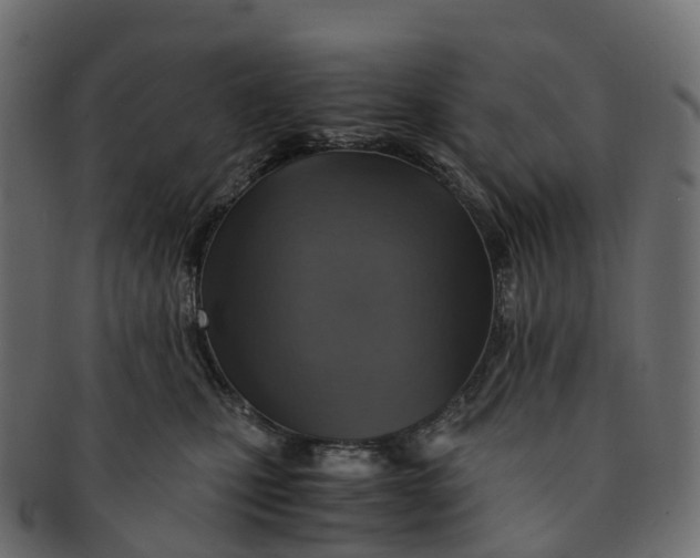 X0000091550471200709071221