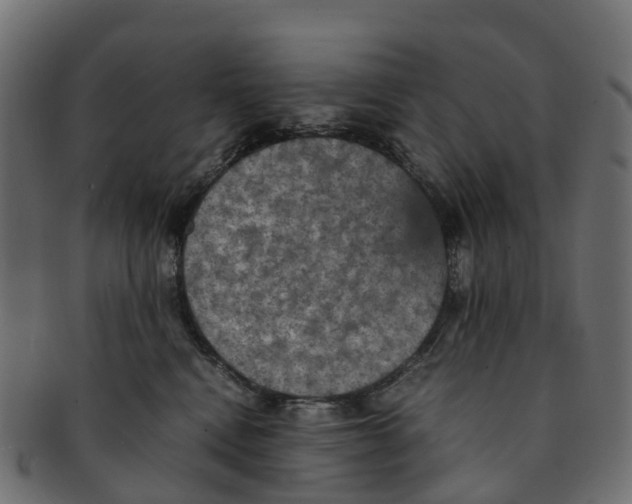 X0000091550472200709071221
